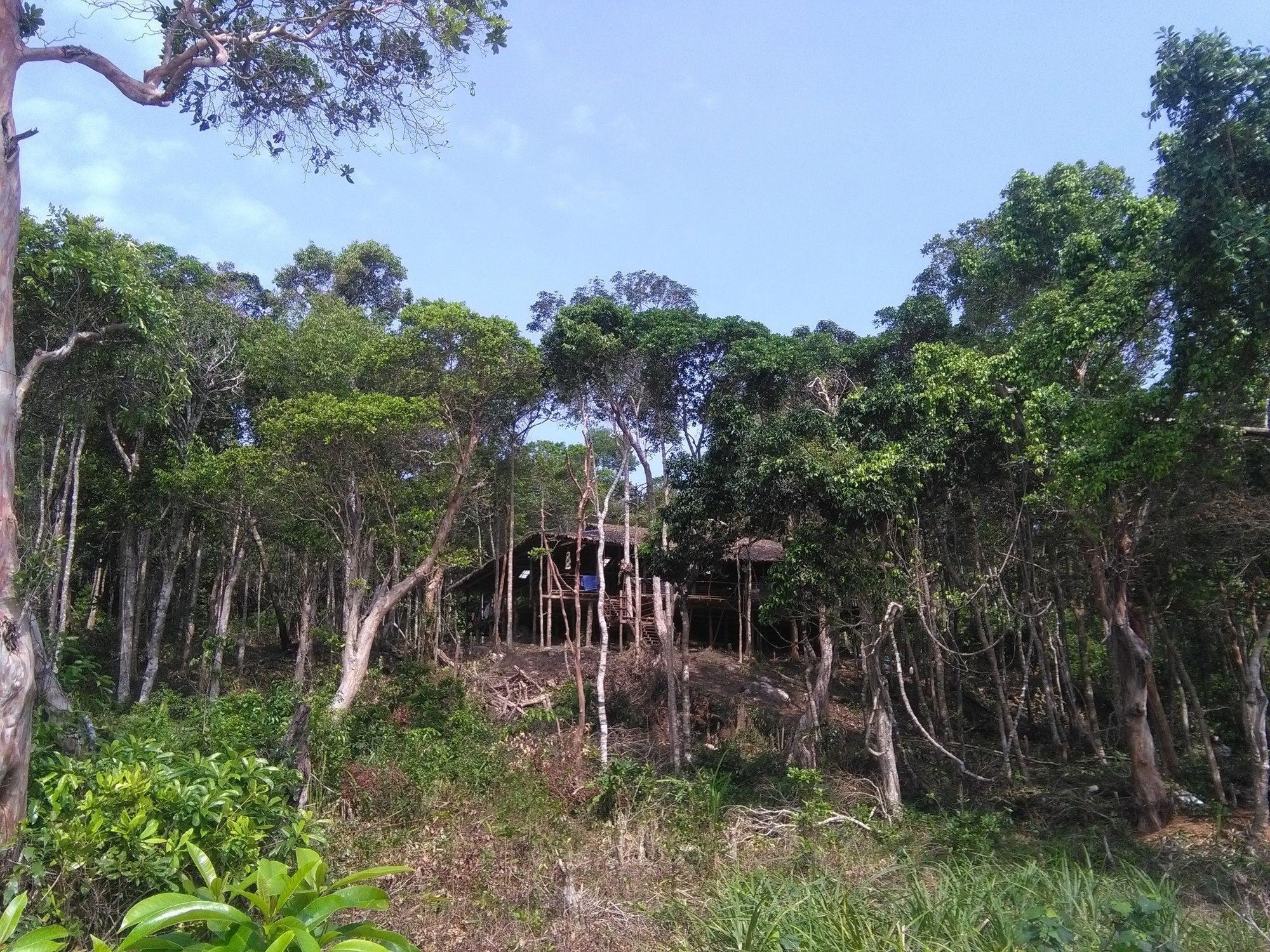 Driftwood Hostel And Bungalows Đảo Koh Rong Samloem Ngoại thất bức ảnh
